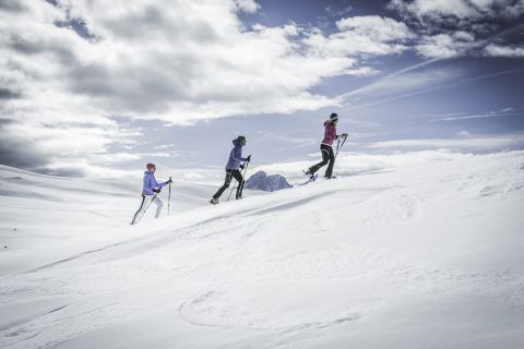 Location perfetta nel cuore delle Dolomiti Immagine: San Martin, Plan de Corones